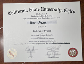 Read more about the article Purchase California State University Fake Diploma Online.