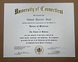 Read more about the article Where to Buy Fake University of Connecticut Degree?