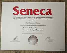 order Seneca College certificate