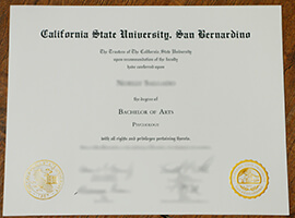 Read more about the article Can I Get A Fake CSUSB Diploma To Work Online?