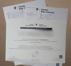 order Istanbul Bilgi University certificate