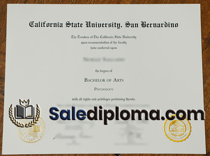 California State University San Bernardino degree