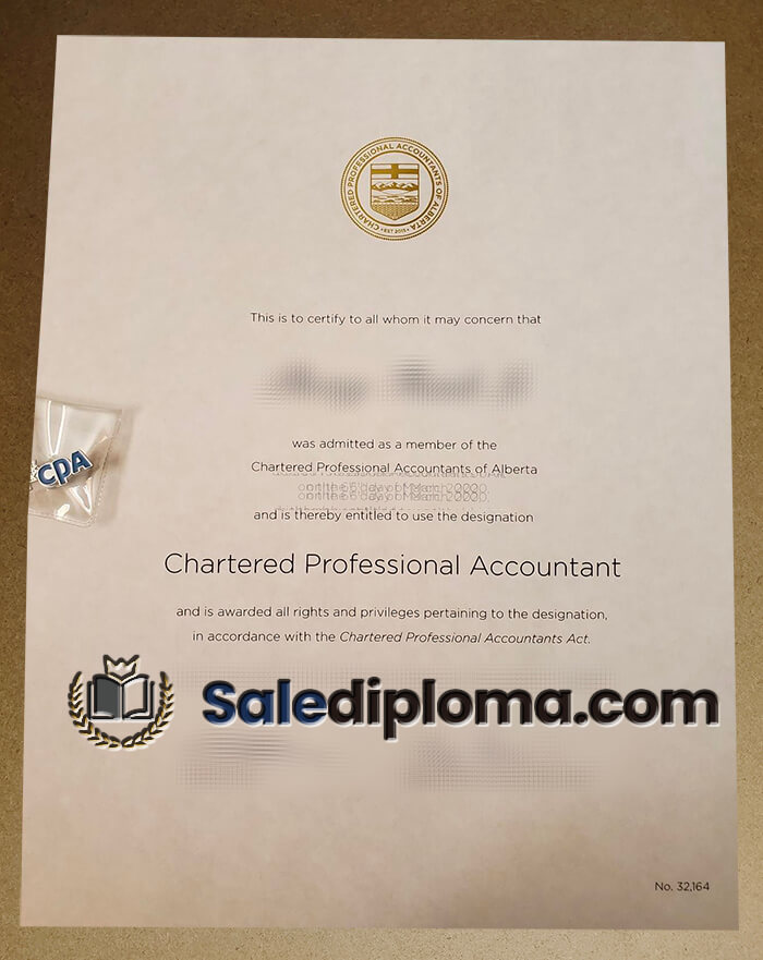 get Chartered Professional Accountan diploma