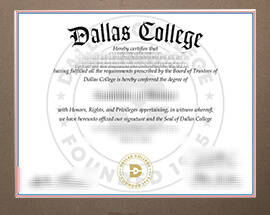 Read more about the article I Want To Get A Realistic Dallas College Certificate Online.