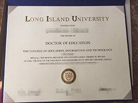 Read more about the article How to Make a Fake Long Island University Diploma.