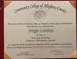 Read more about the article How To Buy Community college of Allegheny County degree?
