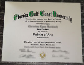 Read more about the article How Quickly To Get Florida Gulf Coast University Diploma?