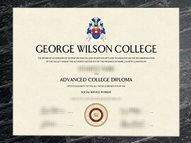 Read more about the article Can I Buy George Wilson College Diploma Online?