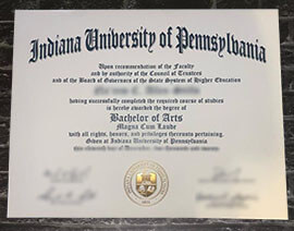 Read more about the article Do You Seach For Indiana University of Pennsylvania Diploma?