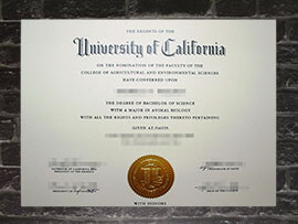 Read more about the article How to order fale University of California, Davis diploma?