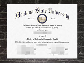 purchase fake Montana State University degree