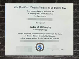 Read more about the article Sale Pontifical Catholic University of Puerto Rico degree.