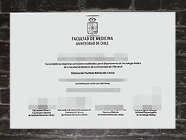 purchase fake Universidad de Chile diploma