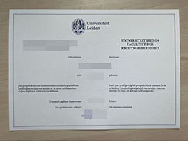 purchase fake Universiteit Leiden diploma