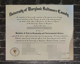 Read more about the article Sale fake University of Maryland, Baltimore County degree.